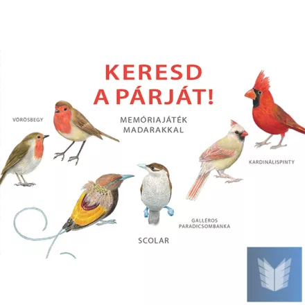 Keresd a párját! – Memóriajáték madarakkal