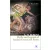 Myths And Legends Of Ancient Greece And Rome