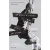Thirteen Reasons Why