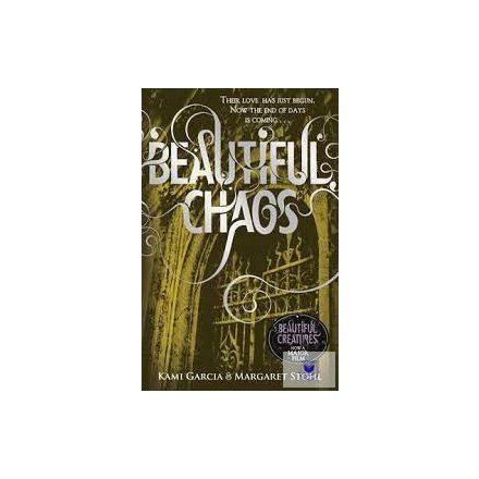 Beautiful Chaos - 3 -