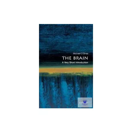 The Brain (Very Short Introductions)