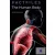 The Human Body - Factfiles Level 3