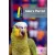 Jakes Parrot (Dominoes 1) New Edition