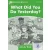 What Did You Do Yesterday? Activity Book - Dolphin Readers Level 3