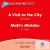 A Visit to the City & Matt's Mistake Audio CD Dolphin Readers Level 2