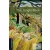The Jungle Book audio pack - Oxford University Press Library Level 2