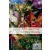 A Midsummer Night's Dream Audio pack - Oxford University Press Library Level 3