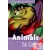 Animals in Art Audio CD Pack - Oxford Read and Discover Level 4