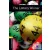 The Lottery Winner - Obw Library 1 Audio Cd Pack 3E*