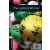 The Lottery Winner - Oxford University Press Library Level 1