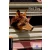 Red Dog - Level 2