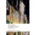 The Aspern Papers And Other Stories Second Edition