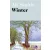 Ali Smith: Winter