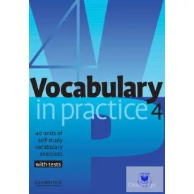 Vocabulary in Practice 4