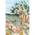 Jane Eyre (Harper Muse Classics: Painted Editions)