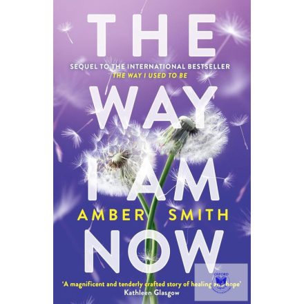 The Way I Am Now (The Way I Used to Be, Book 2)
