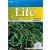 Life Beginner Workbook. Audio CD