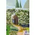 The Secret Garden (Harper Muse Classics: Painted Editions)