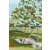 Anne of Green Gables (Harper Muse Classics: Painted Editions)