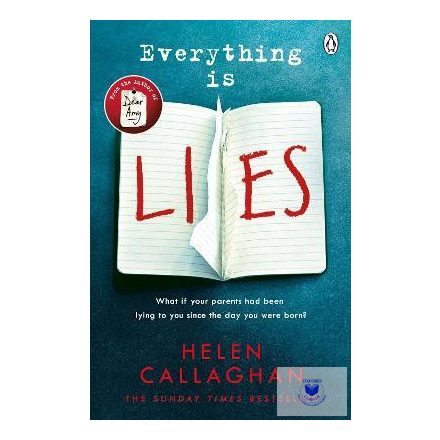 Everything Is Lies B - (Paperback)