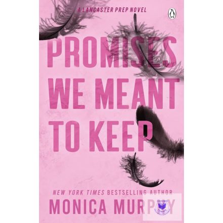 Promises We Meant To Keep (A Lancaster Prep Novel)