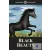 Black Beauty - Ladybird Classics