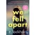 We Fell Apart (Sequel to We Were Liars)