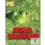 Animal Camouflage (Explore Our World) CD-ROM