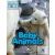 Baby Animals (Explore Our World) Reader With Digibooks Application