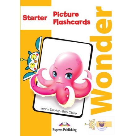 I-Wonder Starter Picture & Word Flashcards (International)