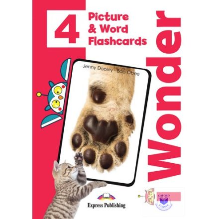 I-Wonder 4 Picture & Word Flashcards (International)