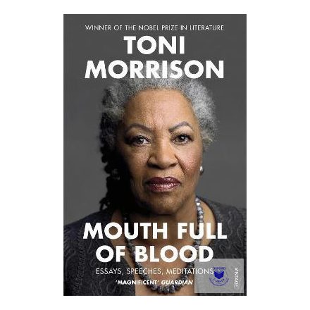 Mouth Full Of Blood: Essays, Speeches, Meditations (Paperback)