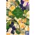 Sense and Sensibility (Vintage Collector's Classics)