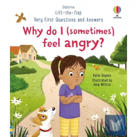   Why do I (sometimes) feel angry? (Very First Questions and Answers)