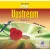 Upstream Level B1+ DVD Pal