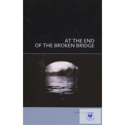 At The End Of The Broken Bridge