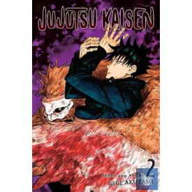 Jujutsu Kaisen (Volume 2)