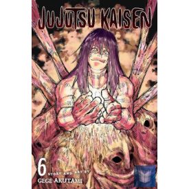 Jujutsu Kaisen (Volume 6)