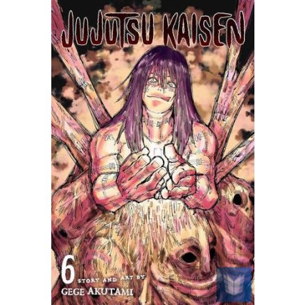 Jujutsu Kaisen (Volume 6)