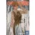 Chainsaw Man (Volume 13)