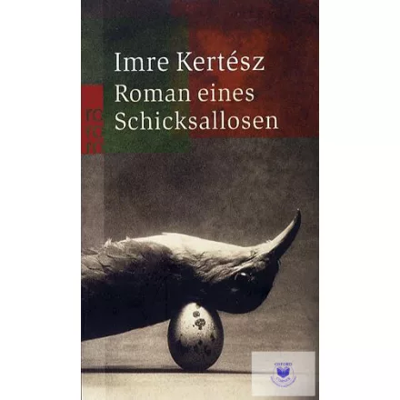 Roman Eines Schicksallosen