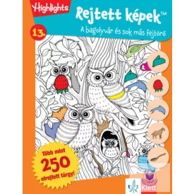 Rejtett képek 13. - Bagolyvár és sok más fejtörő
