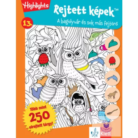 Rejtett képek 13. - Bagolyvár és sok más fejtörő