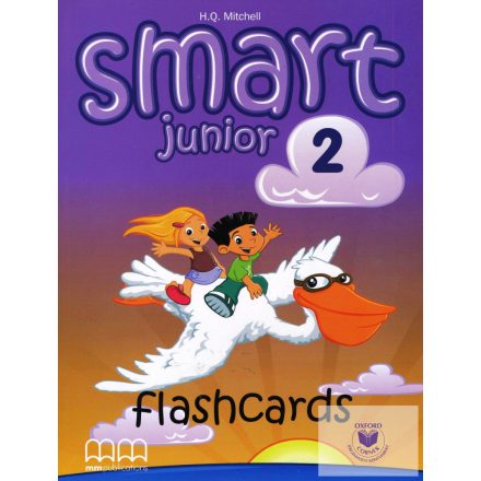Smart Junior 2 Flashcards