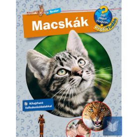Macskák - Profi Tudás