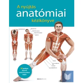 A nyújtás anatómiai kézikönyve