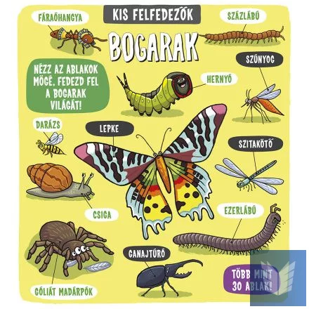 Kis felfedezők - Bogarak