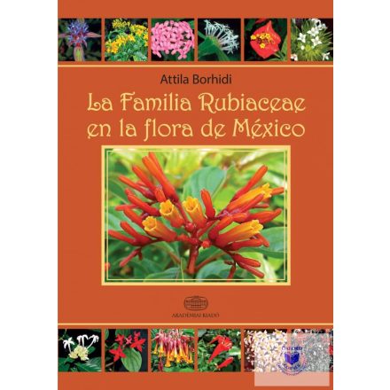 La Familia Rubiaceae en la Flora de México