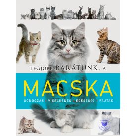 Legjobb barátunk, a macska
