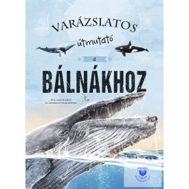 Varázslatos útmutató a bálnákhoz